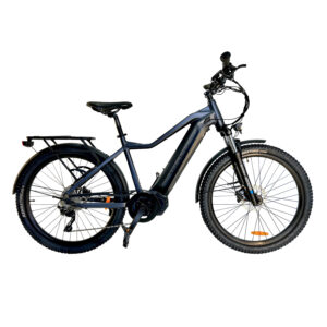 Hikobike Electric Bike - Ascent