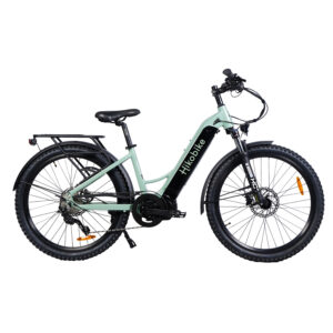 Hikobike Vibe - Sage